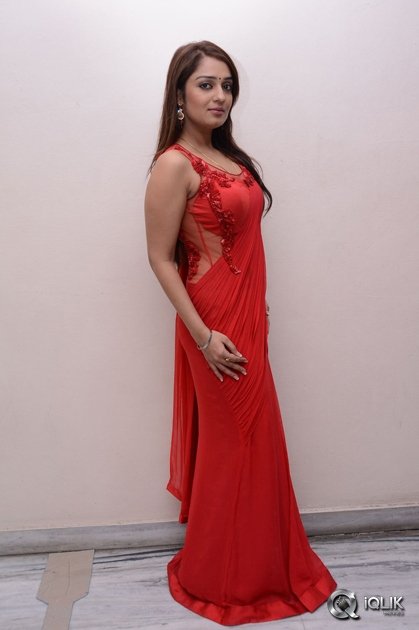 Nikitha-at-Terror-Movie-Press-Meet